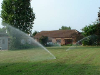 Rotor Spray Heads